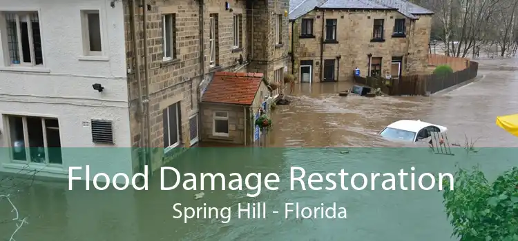 Flood Damage Restoration Spring Hill - Florida