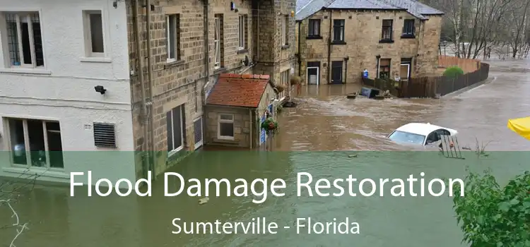 Flood Damage Restoration Sumterville - Florida