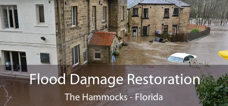 Flood Damage Restoration The Hammocks - Florida