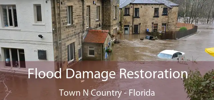 Flood Damage Restoration Town N Country - Florida