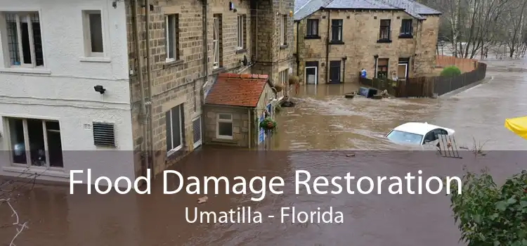 Flood Damage Restoration Umatilla - Florida