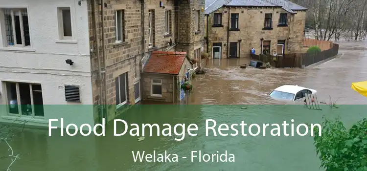 Flood Damage Restoration Welaka - Florida