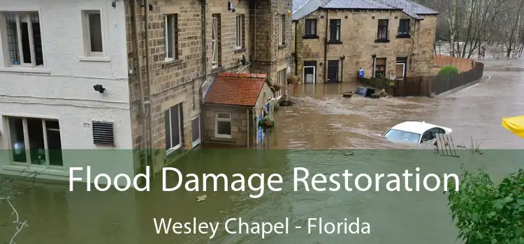 Flood Damage Restoration Wesley Chapel - Florida