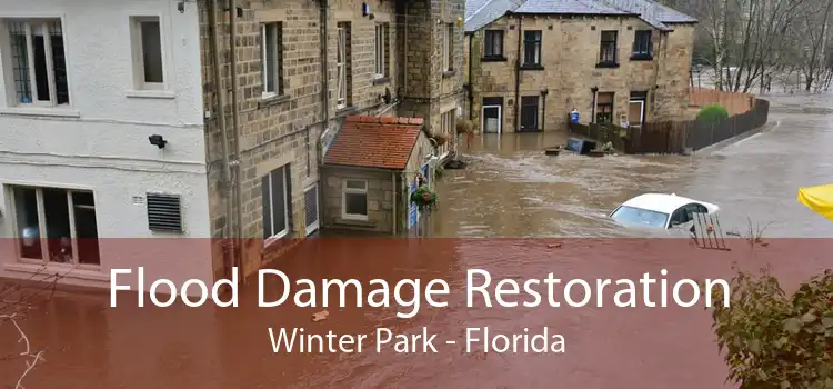 Flood Damage Restoration Winter Park - Florida