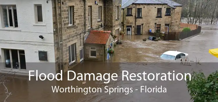 Flood Damage Restoration Worthington Springs - Florida