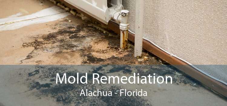 Mold Remediation Alachua - Florida