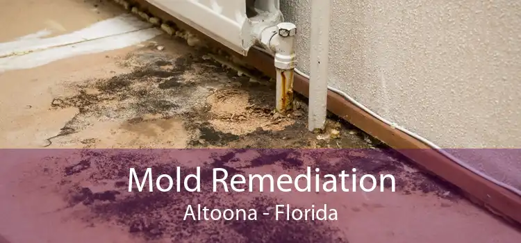 Mold Remediation Altoona - Florida