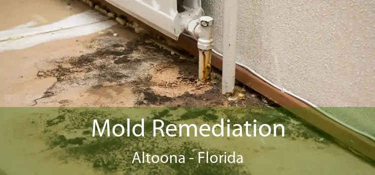 Mold Remediation Altoona - Florida