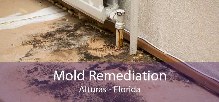 Mold Remediation Alturas - Florida