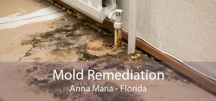 Mold Remediation Anna Maria - Florida