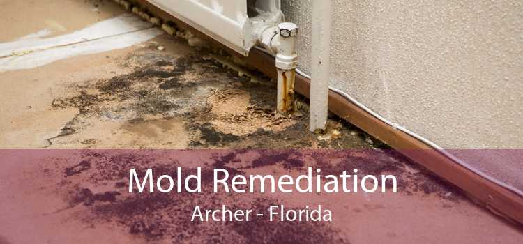 Mold Remediation Archer - Florida
