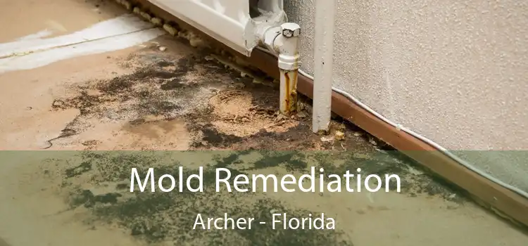 Mold Remediation Archer - Florida