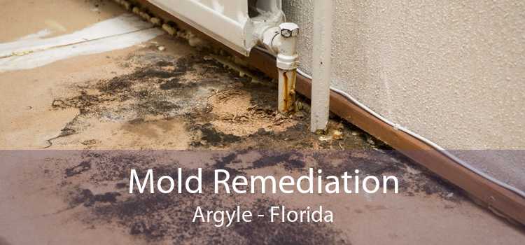 Mold Remediation Argyle - Florida