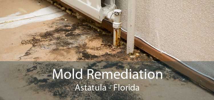 Mold Remediation Astatula - Florida