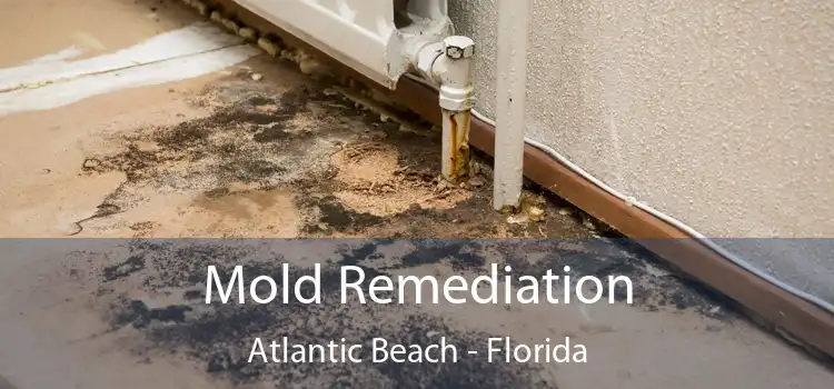 Mold Remediation Atlantic Beach - Florida