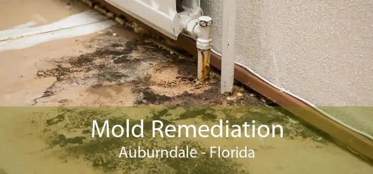 Mold Remediation Auburndale - Florida