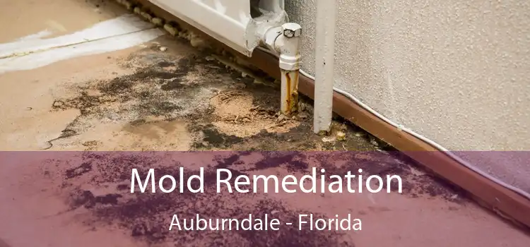 Mold Remediation Auburndale - Florida