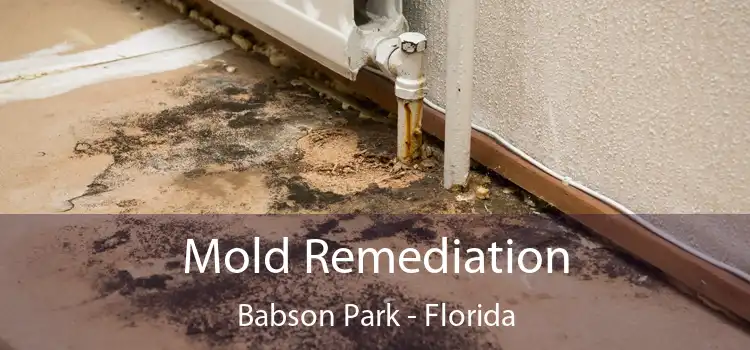 Mold Remediation Babson Park - Florida