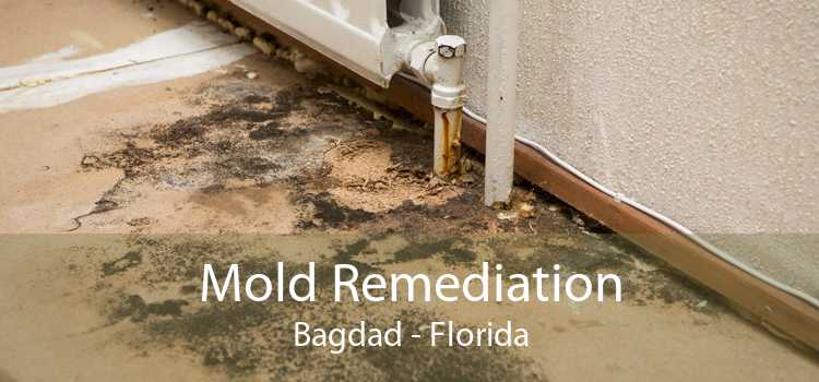 Mold Remediation Bagdad - Florida