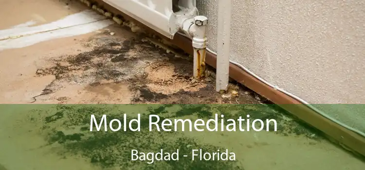 Mold Remediation Bagdad - Florida