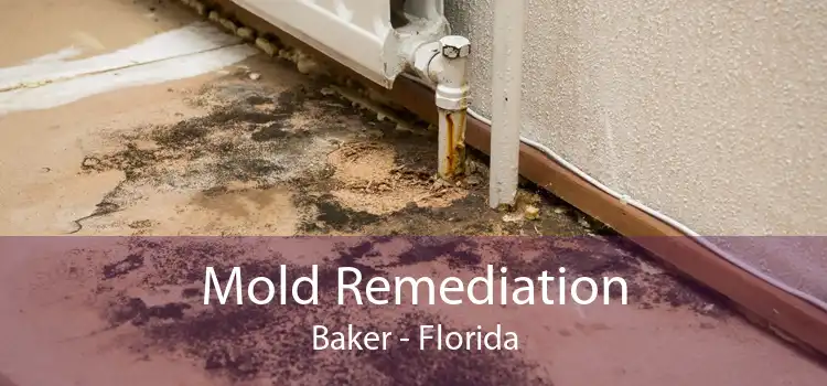 Mold Remediation Baker - Florida