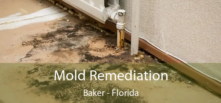 Mold Remediation Baker - Florida