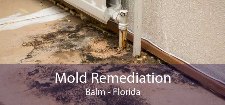 Mold Remediation Balm - Florida