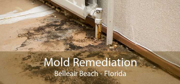 Mold Remediation Belleair Beach - Florida