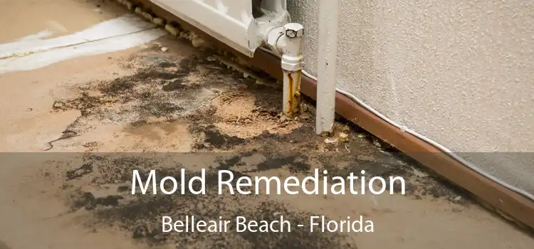 Mold Remediation Belleair Beach - Florida