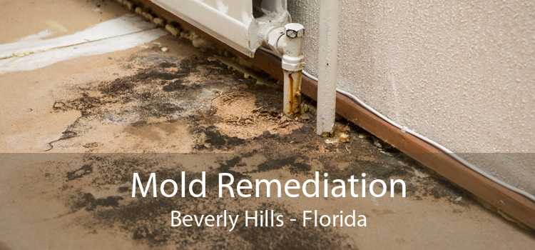 Mold Remediation Beverly Hills - Florida