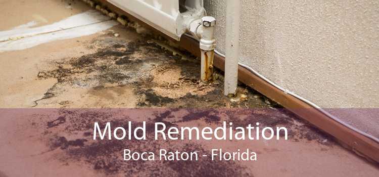 Mold Remediation Boca Raton - Florida