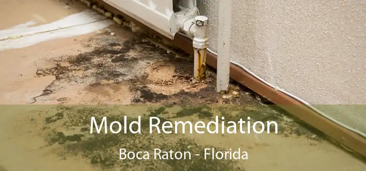 Mold Remediation Boca Raton - Florida