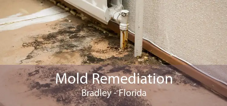 Mold Remediation Bradley - Florida