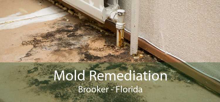 Mold Remediation Brooker - Florida