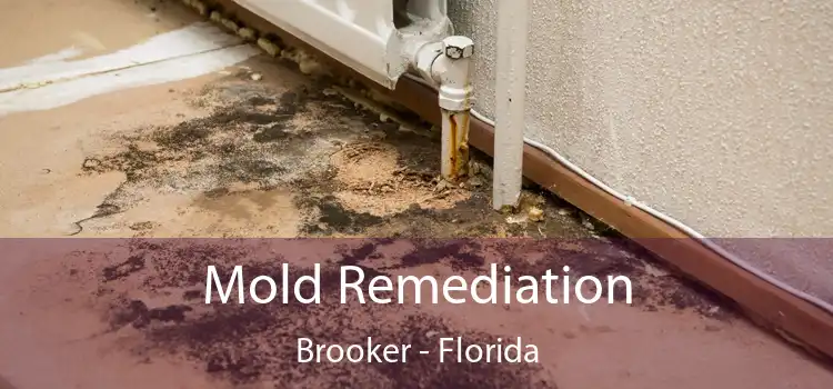 Mold Remediation Brooker - Florida