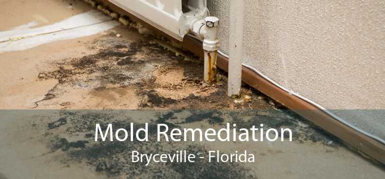 Mold Remediation Bryceville - Florida