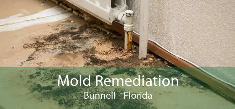 Mold Remediation Bunnell - Florida