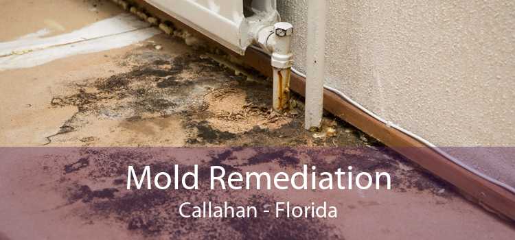 Mold Remediation Callahan - Florida
