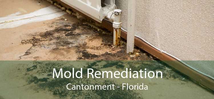 Mold Remediation Cantonment - Florida