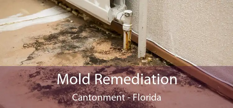 Mold Remediation Cantonment - Florida