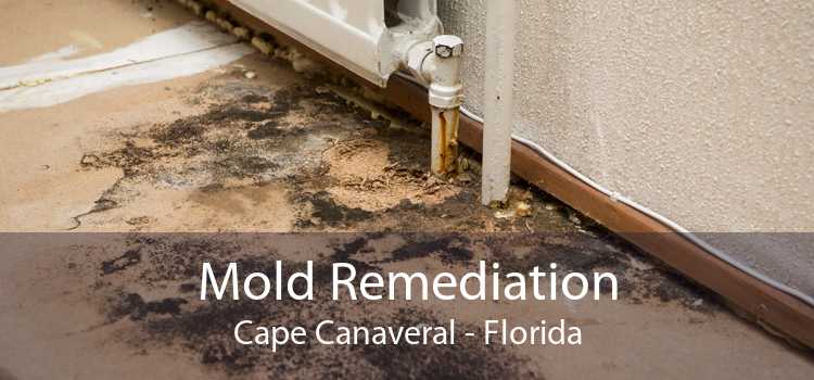 Mold Remediation Cape Canaveral - Florida