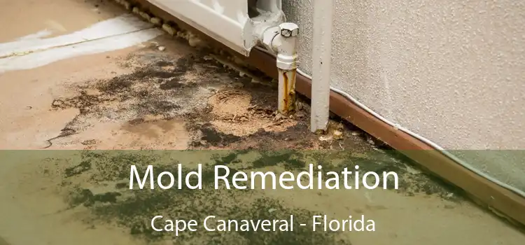 Mold Remediation Cape Canaveral - Florida