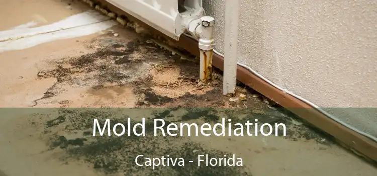 Mold Remediation Captiva - Florida