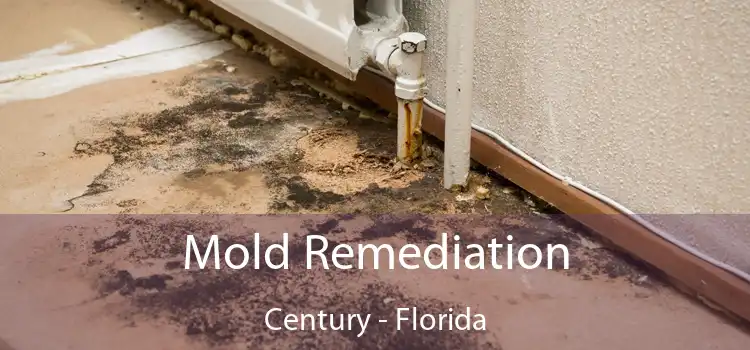 Mold Remediation Century - Florida