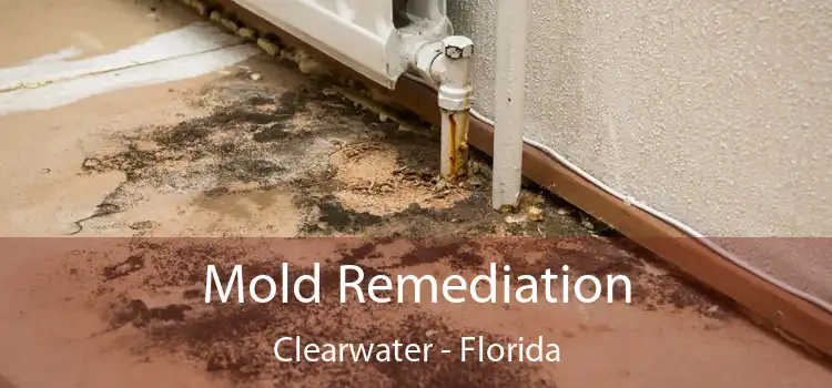 Mold Remediation Clearwater - Florida