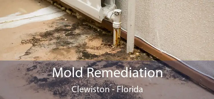 Mold Remediation Clewiston - Florida