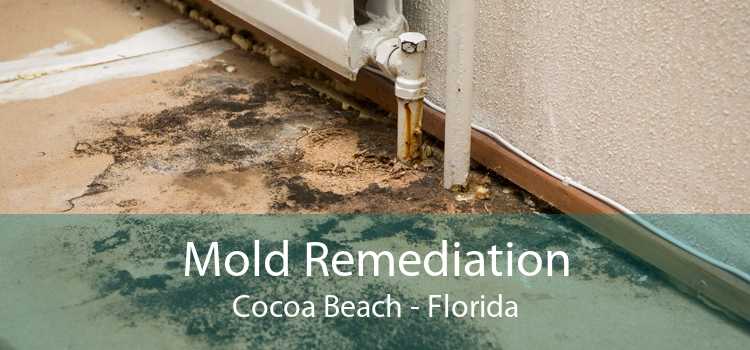 Mold Remediation Cocoa Beach - Florida
