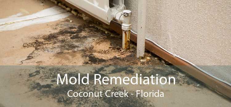 Mold Remediation Coconut Creek - Florida