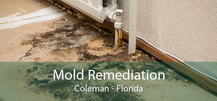 Mold Remediation Coleman - Florida