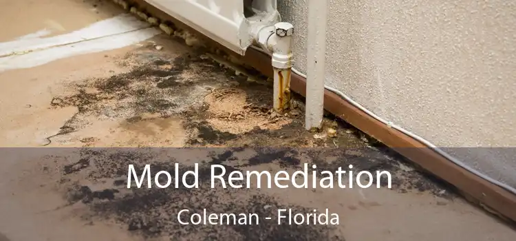 Mold Remediation Coleman - Florida